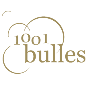 1001 Bulles